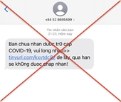 BHXH Việt Nam cảnh báo về tin nhắn lừa đảo việc nhận trợ cấp Covid-19